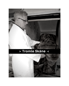 Tromle Sk&aring;ne behandling