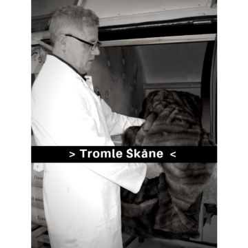 Tromle Skåne behandling